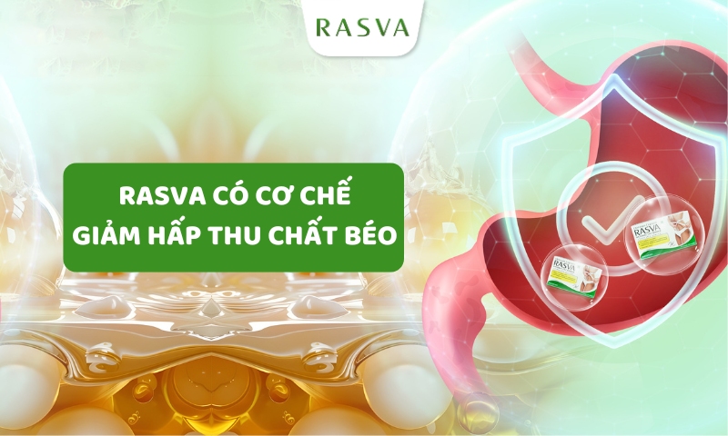 Cơ chế giảm hấp thu chất béo